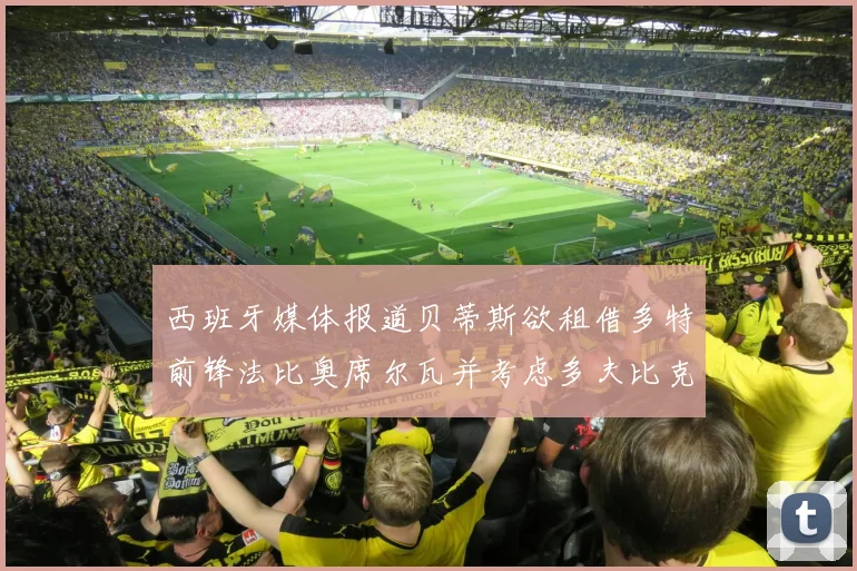 西班牙媒体报道贝蒂斯欲租借多特前锋法比奥席尔瓦并考虑多夫比克
