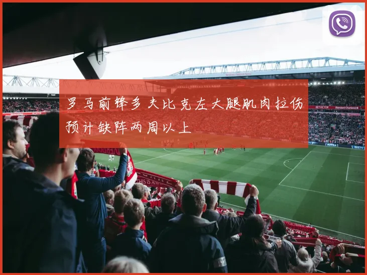 罗马前锋多夫比克左大腿肌肉拉伤预计缺阵两周以上