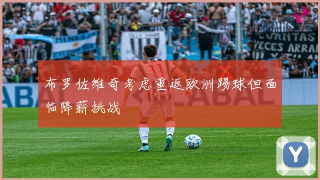 布罗佐维奇考虑重返欧洲踢球但面临降薪挑战